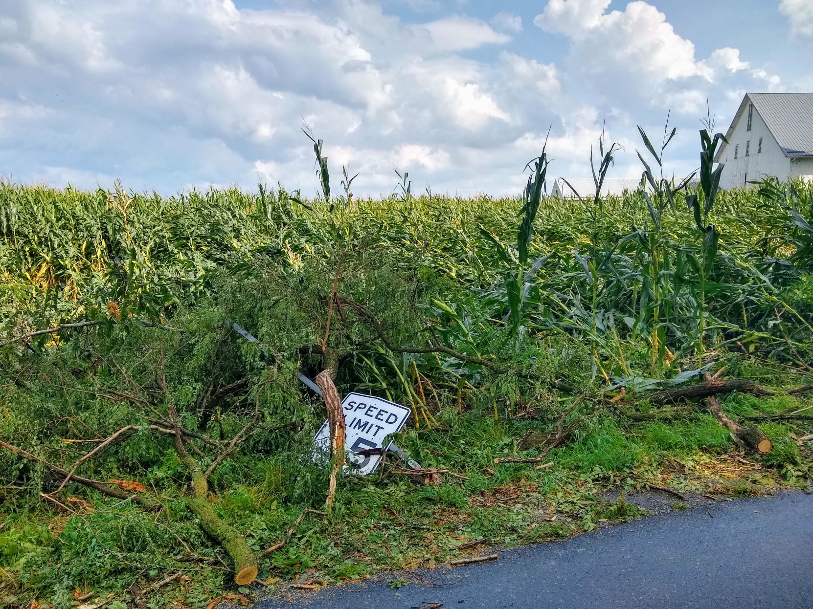 Zion Road Storm Damage